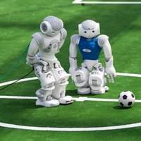 Kick it like a Robot